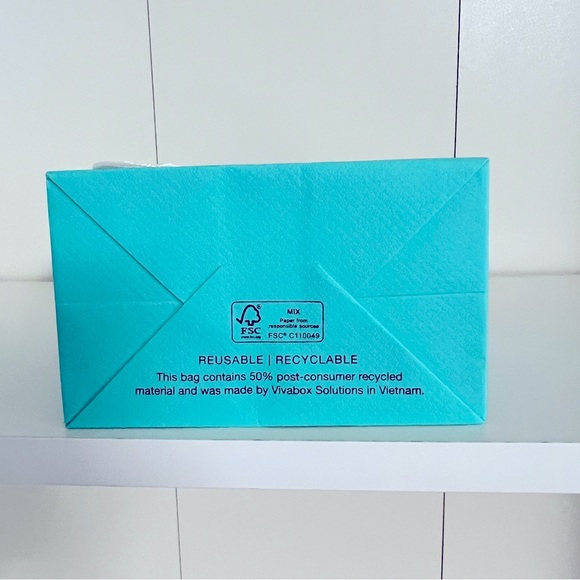 Tiffany & Co. Small Shopping Bag (single bag) - Picture 5 of 5